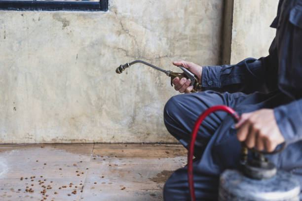 Best Wasp Removal Services  in Trenton, NJ